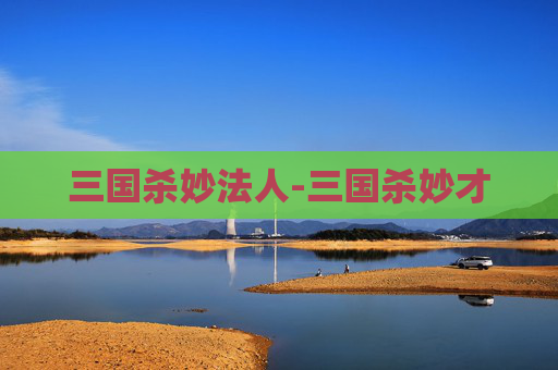三国杀妙法人-三国杀妙才