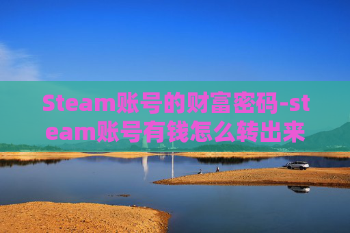 Steam账号的财富密码-steam账号有钱怎么转出来 Steam账号的财富密码-steam账号有钱怎么转出来