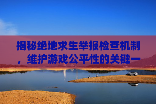 揭秘绝地求生举报检查机制,维护游戏公平性的关键一环-pubg举报反馈在哪里 揭秘绝地求生举报检查机制,维护游戏公平性的关键一环-pubg举报反馈在哪里