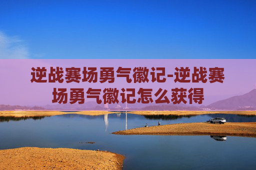 逆战赛场勇气徽记-逆战赛场勇气徽记怎么获得 逆战赛场勇气徽记-逆战赛场勇气徽记怎么获得