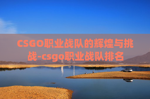 CSGO职业战队的辉煌与挑战-csgo职业战队排名 CSGO职业战队的辉煌与挑战-csgo职业战队排名