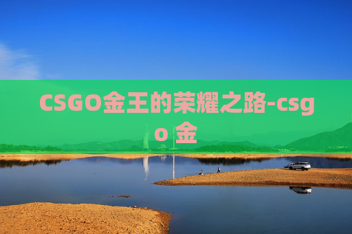 CSGO金王的荣耀之路-csgo 金 CSGO金王的荣耀之路-csgo 金