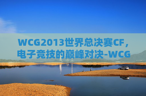 WCG2013世界总决赛CF,电子竞技的巅峰对决-WCG2013世界总决赛cF小组赛 WCG2013世界总决赛CF,电子竞技的巅峰对决-WCG2013世界总决赛cF小组赛
