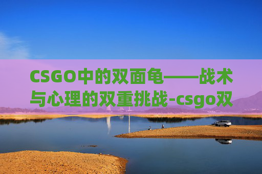 CSGO中的双面龟——战术与心理的双重挑战-csgo双面蓝 CSGO中的双面龟——战术与心理的双重挑战-csgo双面蓝