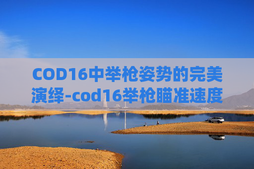 COD16中举枪姿势的完美演绎-cod16举枪瞄准速度是什么 COD16中举枪姿势的完美演绎-cod16举枪瞄准速度是什么