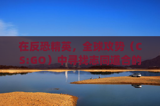在反恐精英，全球攻势（CS:GO）中寻找志同道合的战友-csgo搜索好友没反应