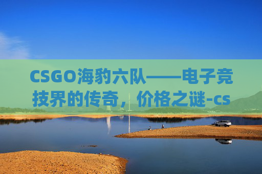 CSGO海豹六队——电子竞技界的传奇,价格之谜-csgo 海豹六队 CSGO海豹六队——电子竞技界的传奇,价格之谜-csgo 海豹六队