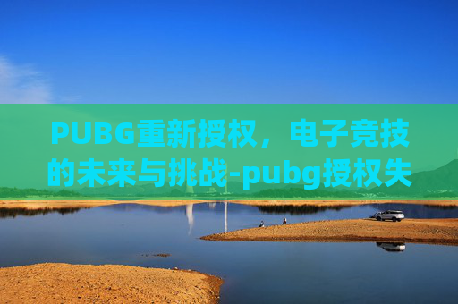 PUBG重新授权，电子竞技的未来与挑战-pubg授权失败请重新登录怎么办