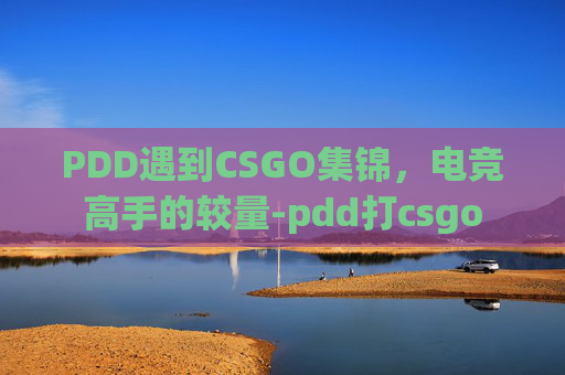 PDD遇到CSGO集锦,电竞高手的较量-pdd打csgo PDD遇到CSGO集锦,电竞高手的较量-pdd打csgo