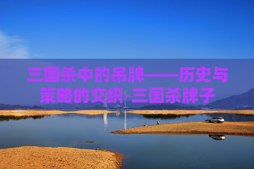 三国杀中的吊牌——历史与策略的交织-三国杀牌子