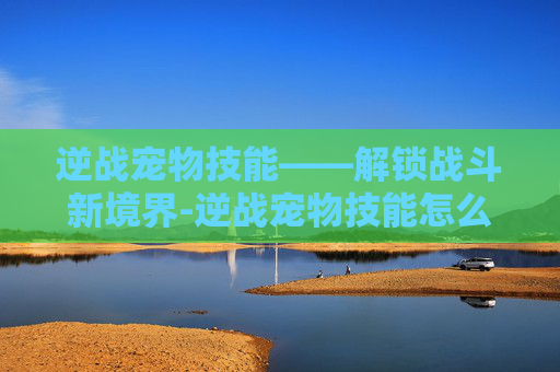 逆战宠物技能——解锁战斗新境界-逆战宠物技能怎么释放 逆战宠物技能——解锁战斗新境界-逆战宠物技能怎么释放