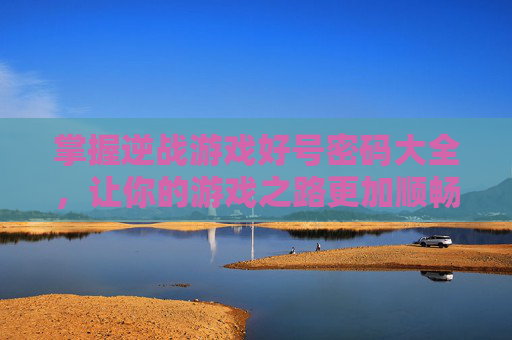 掌握逆战游戏好号密码大全，让你的游戏之路更加顺畅-逆战号大全带密码2021