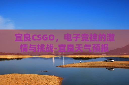 宜良CSGO，电子竞技的激情与挑战-宜良天气预报