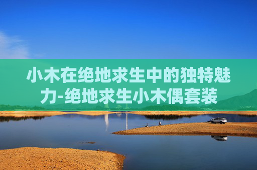小木在绝地求生中的独特魅力-绝地求生小木偶套装