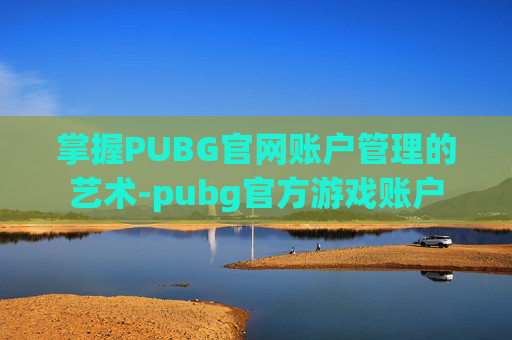 掌握PUBG官网账户管理的艺术-pubg官方游戏账户