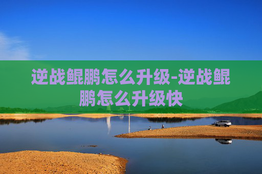 逆战鲲鹏怎么升级-逆战鲲鹏怎么升级快
