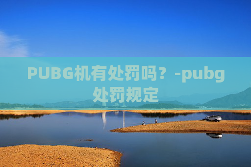 PUBG机有处罚吗?-pubg处罚规定 PUBG机有处罚吗?-pubg处罚规定