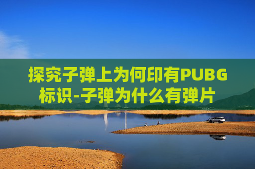 探究子弹上为何印有PUBG标识-子弹为什么有弹片