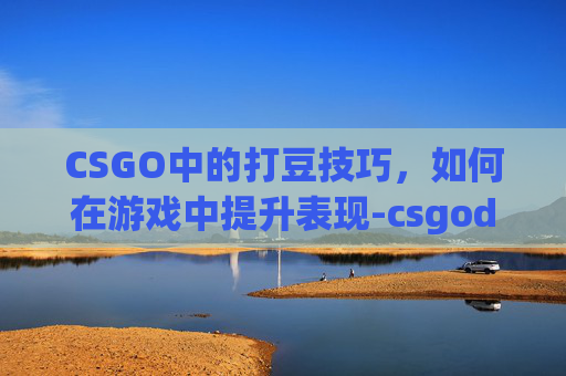 CSGO中的打豆技巧，如何在游戏中提升表现-csgodobu