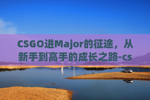 CSGO进Major的征途，从新手到高手的成长之路-csgo进major就有贴纸吗