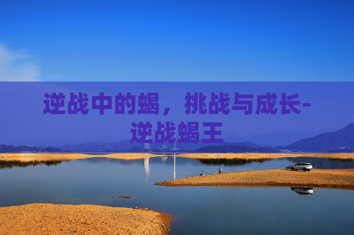 逆战中的蝎,挑战与成长-逆战蝎王 逆战中的蝎,挑战与成长-逆战蝎王