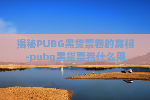 揭秘PUBG黑货票卷的真相-pubg黑货票卷什么用 揭秘PUBG黑货票卷的真相-pubg黑货票卷什么用