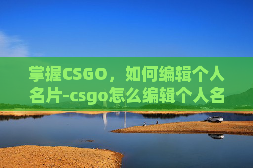 掌握CSGO,如何编辑个人名片-csgo怎么编辑个人名片 掌握CSGO,如何编辑个人名片-csgo怎么编辑个人名片