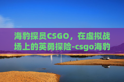 海豹探员CSGO,在虚拟战场上的英勇探险-csgo海豹突击队探员 海豹探员CSGO,在虚拟战场上的英勇探险-csgo海豹突击队探员