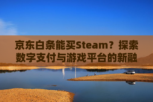 京东白条能买Steam？探索数字支付与游戏平台的新融合-京东白条能买车票吗?