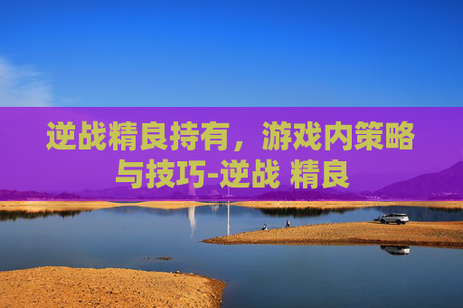 逆战精良持有,游戏内策略与技巧-逆战 精良 逆战精良持有,游戏内策略与技巧-逆战 精良