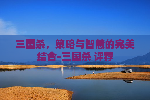 三国杀，策略与智慧的完美结合-三国杀 评荐