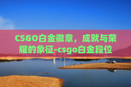 CSGO白金徽章,成就与荣耀的象征-csgo白金段位 CSGO白金徽章,成就与荣耀的象征-csgo白金段位