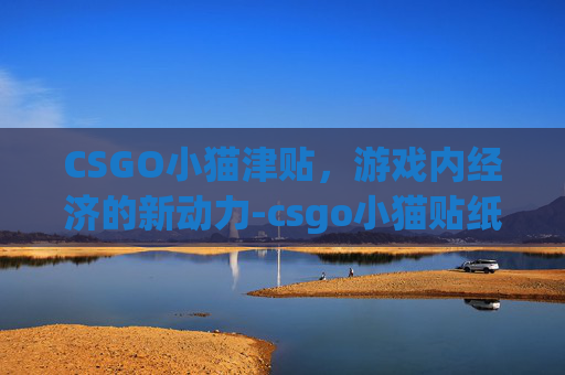 CSGO小猫津贴，游戏内经济的新动力-csgo小猫贴纸