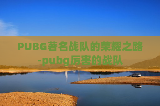 PUBG著名战队的荣耀之路-pubg厉害的战队 PUBG著名战队的荣耀之路-pubg厉害的战队