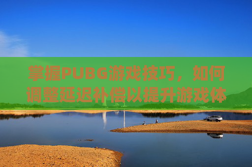掌握PUBG游戏技巧，如何调整延迟补偿以提升游戏体验-pubg 延迟