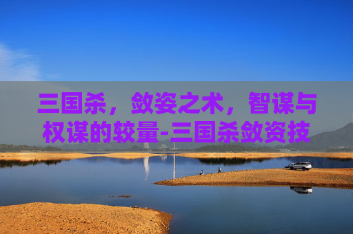 三国杀,敛姿之术,智谋与权谋的较量-三国杀敛资技能 三国杀,敛姿之术,智谋与权谋的较量-三国杀敛资技能