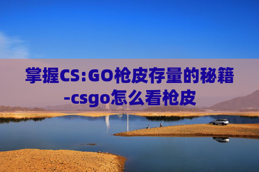 掌握CS:GO枪皮存量的秘籍-csgo怎么看枪皮