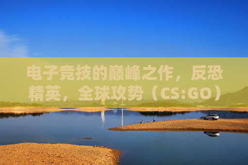 电子竞技的巅峰之作,反恐精英,全球攻势(CS:GO)-国际大作战 电子竞技的巅峰之作,反恐精英,全球攻势(CS:GO)-国际大作战