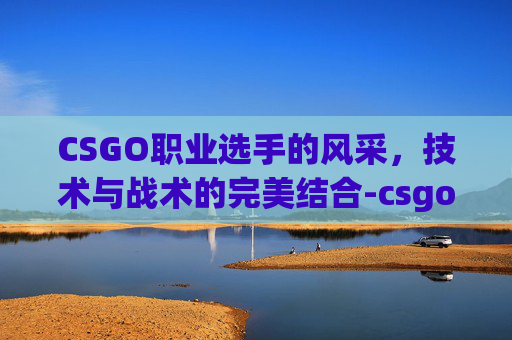 CSGO职业选手的风采,技术与战术的完美结合-csgo职业照片 CSGO职业选手的风采,技术与战术的完美结合-csgo职业照片