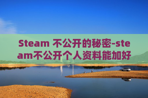 Steam 不公开的秘密-steam不公开个人资料能加好友吗 Steam 不公开的秘密-steam不公开个人资料能加好友吗