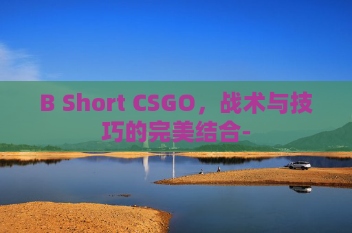 B Short CSGO,战术与技巧的完美结合- B Short CSGO,战术与技巧的完美结合-