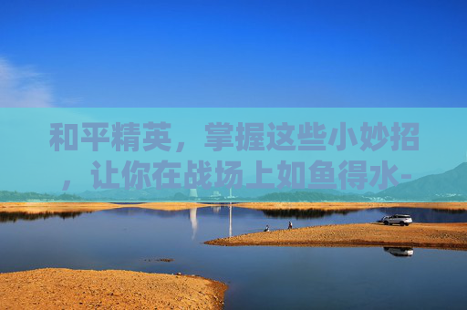 和平精英,掌握这些小妙招,让你在战场上如鱼得水-和平精英所有的小妙招有哪些 和平精英,掌握这些小妙招,让你在战场上如鱼得水-和平精英所有的小妙招有哪些