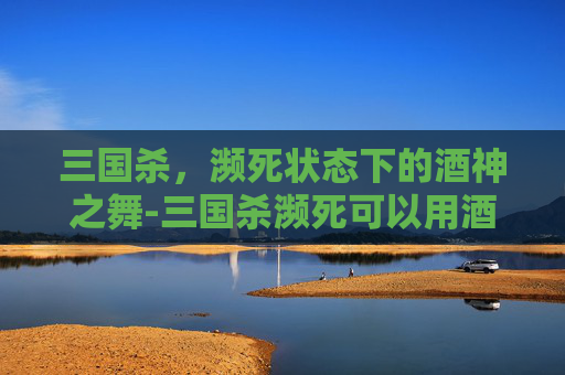 三国杀，濒死状态下的酒神之舞-三国杀濒死可以用酒吗