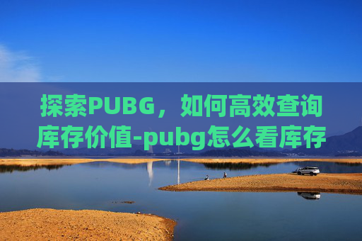 探索PUBG,如何高效查询库存价值-pubg怎么看库存价值 探索PUBG,如何高效查询库存价值-pubg怎么看库存价值