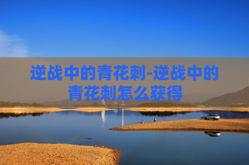 逆战中的青花刺-逆战中的青花刺怎么获得 逆战中的青花刺-逆战中的青花刺怎么获得