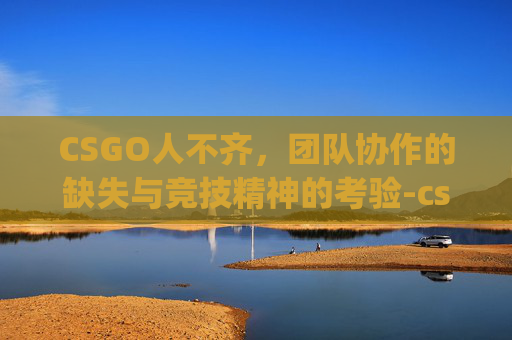 CSGO人不齐，团队协作的缺失与竞技精神的考验-csgo怎么人数不平衡