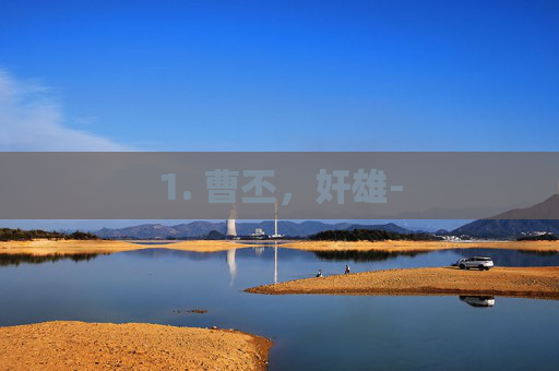 1. 曹丕，奸雄-
