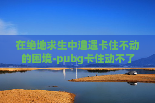 在绝地求生中遭遇卡住不动的困境-pubg卡住动不了