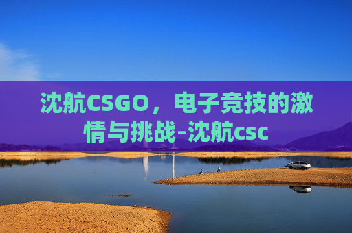 沈航CSGO,电子竞技的激情与挑战-沈航csc 沈航CSGO,电子竞技的激情与挑战-沈航csc