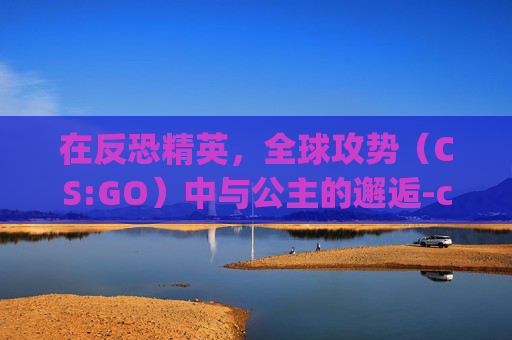 在反恐精英,全球攻势(CS:GO)中与公主的邂逅-csgo公主皮肤 在反恐精英,全球攻势(CS:GO)中与公主的邂逅-csgo公主皮肤